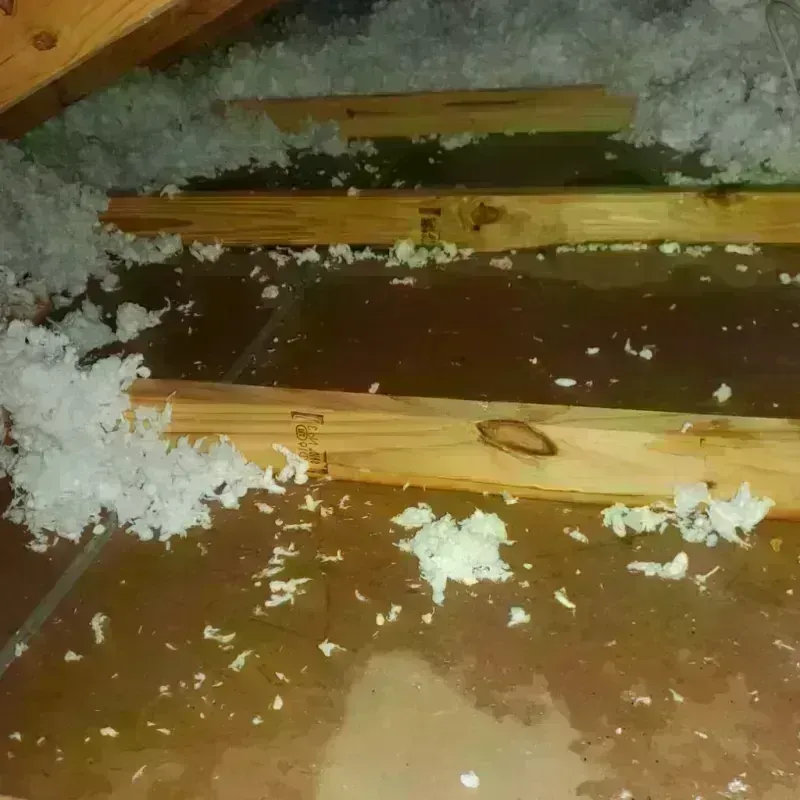 Attic Water Damage in Dane, WI