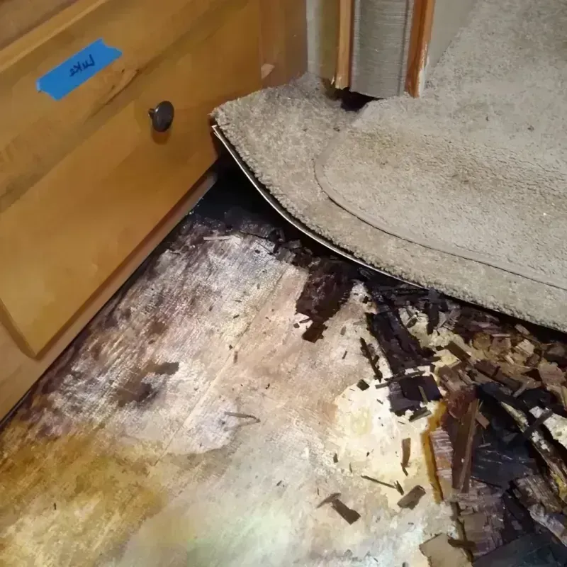 Best Wood Floor Water Damage Service in Dane, WI